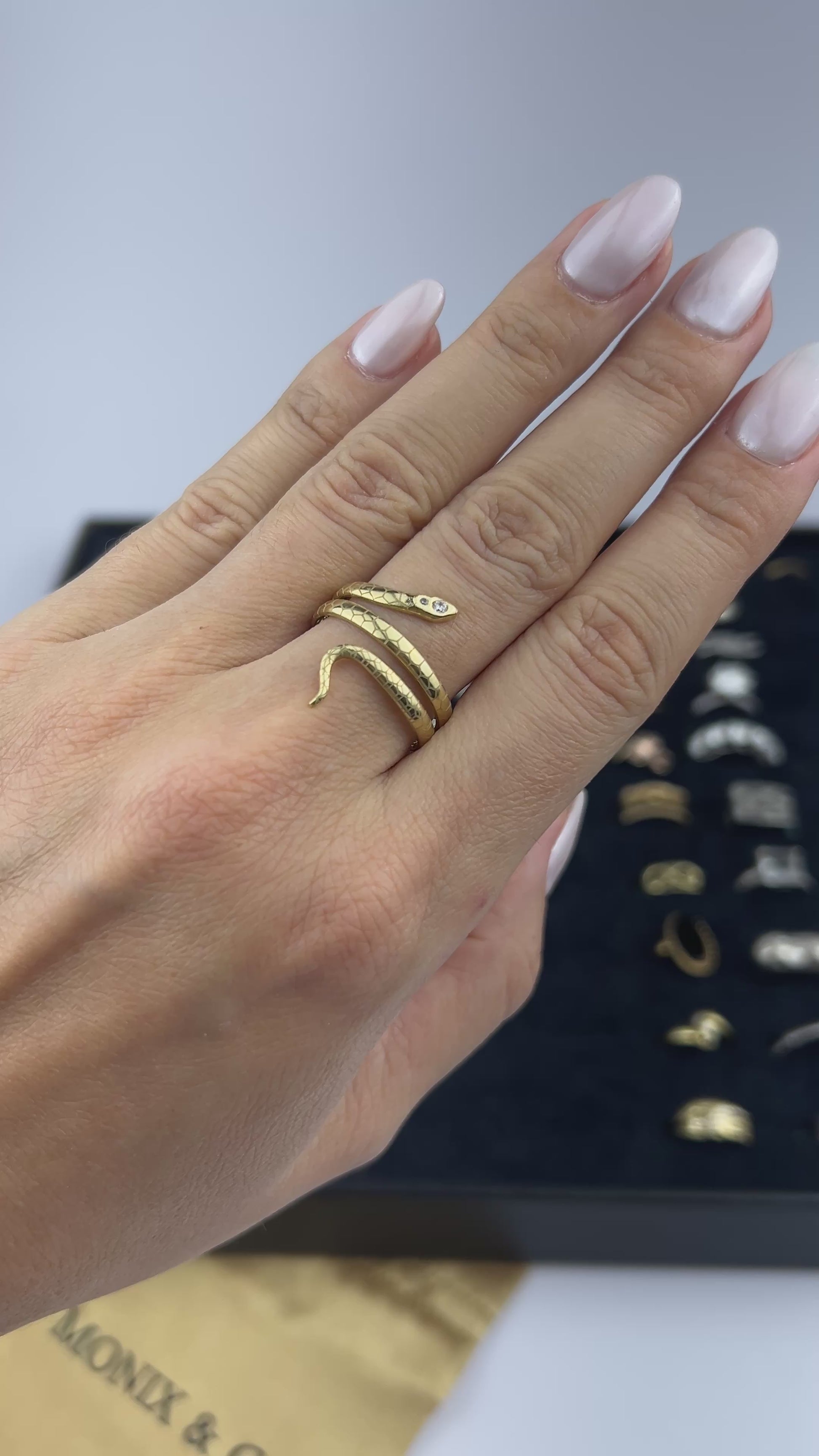 Anel Monix Serpentis - 5,4g