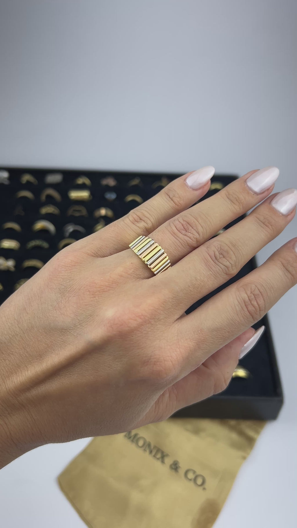 Anel Monix Pilaris - 5g