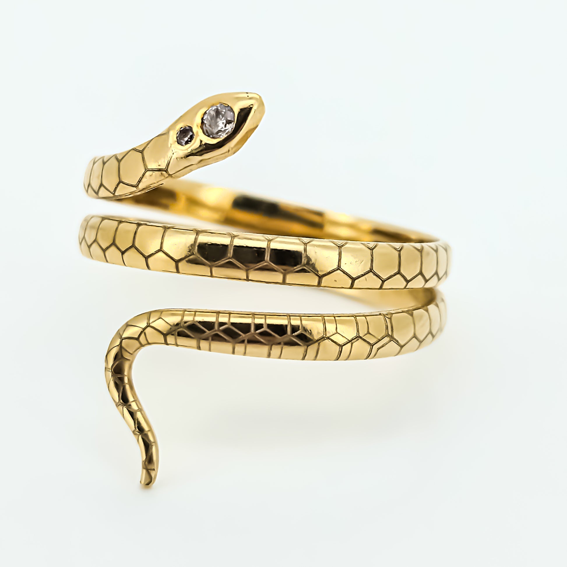 Anel Monix Serpentis - 5,4g